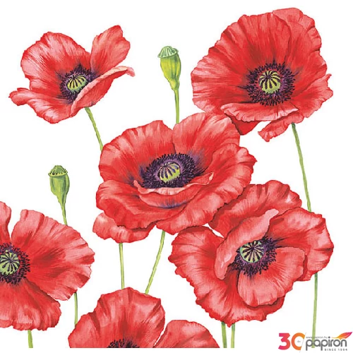 Szalvéta Ambiante Romantic Poppy papírszalvéta 33x33cm,20db-os