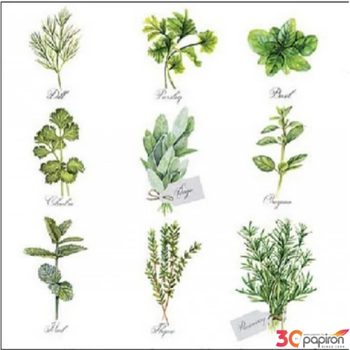 Szalvéta 25x25cm Ambiente Herb selection 20db/csomag
