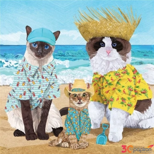 Szalvéta 33x33cm Ambiente Cat's Beach Party 20db/csomag