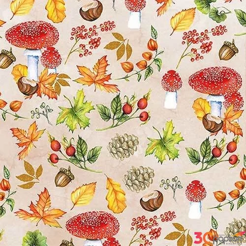 Szalvéta Ambiente gomba autumnpattern 33x33 3rétegű 20db/csomag 13313480