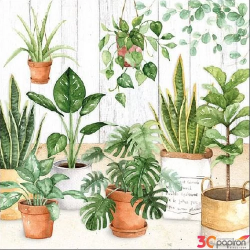 Szalvéta Ambiente Urban Jungle 33x33cm 3rétegű 20db/csomag 13313260 szalvéta.