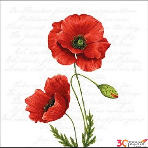 Szalvéta Ambiante Proud Poppy papírszalvéta 25x25cm,15db-os