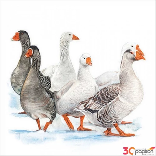 Szalvéta Ambiante Winter geese papírszalvéta 33x33cm,20db-os