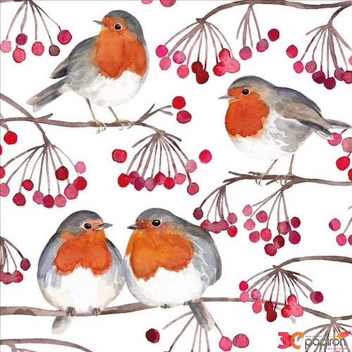 Szalvéta Birds 