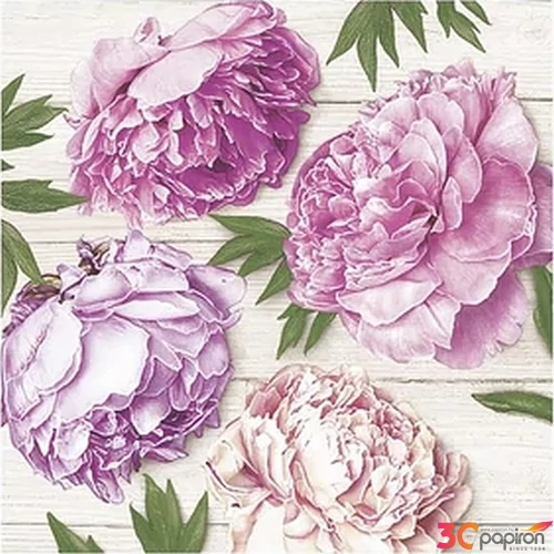 Szalvéta Daisy pink virág 33x33cm Zöld márvány