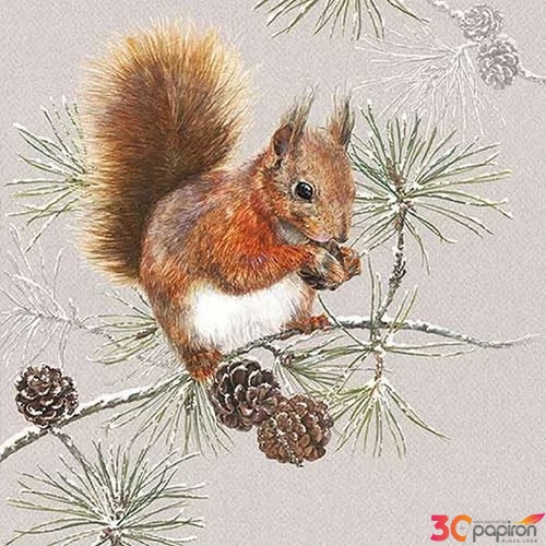 Szalvéta Ambiante Squirrel In Winter papírszalvéta 33x33cm,20db-os