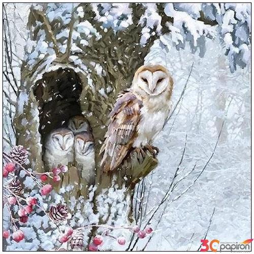 Szalvéta Ambiante Barn Owl papír papírszalvéta 33x33cm,20db-os
