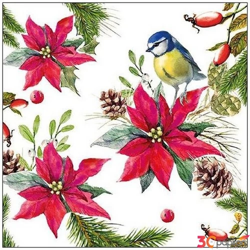 Szalvéta Ambiante Bird on Poinsettia white papír papírszalvéta 33x33cm,20db-os