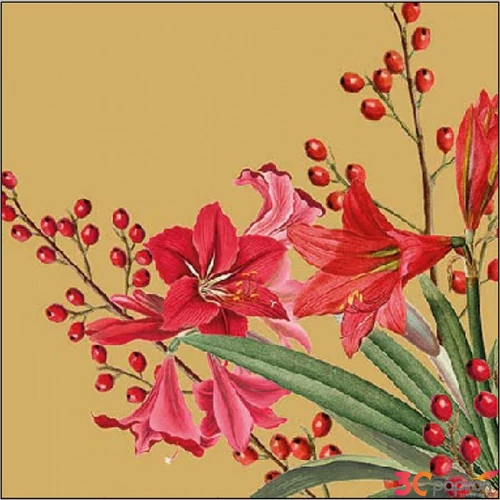 Szalvéta Ambiante Christmas Bouquet Gold papírszalvéta 25x25cm,15db-os