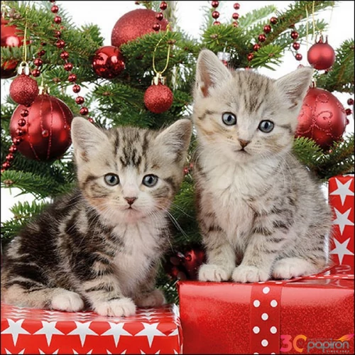 Szalvéta Ambiante Christmas Kitten papír papírszalvéta 33x33cm,20db-os
