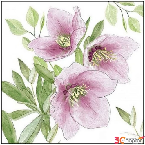 Szalvéta Ambiante Classic helleborus papír papírszalvéta 33x33cm,20db-os