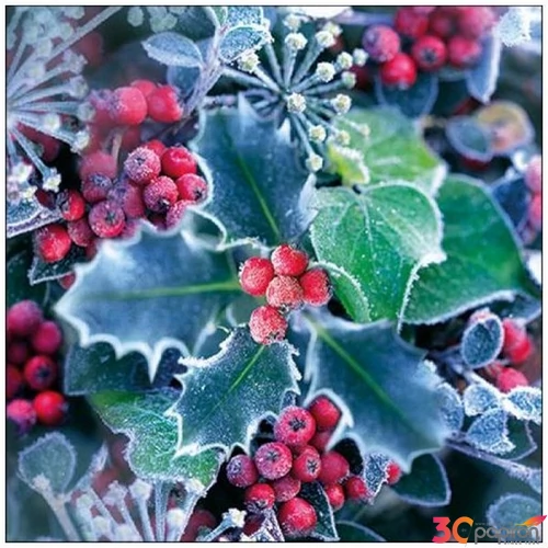 Szalvéta Ambiante Frozen Holly papír papírszalvéta 33x33cm,20db-os
