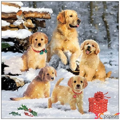 Szalvéta Ambiante Godl en retriever puppies papír papírszalvéta 33x33cm,20db-os