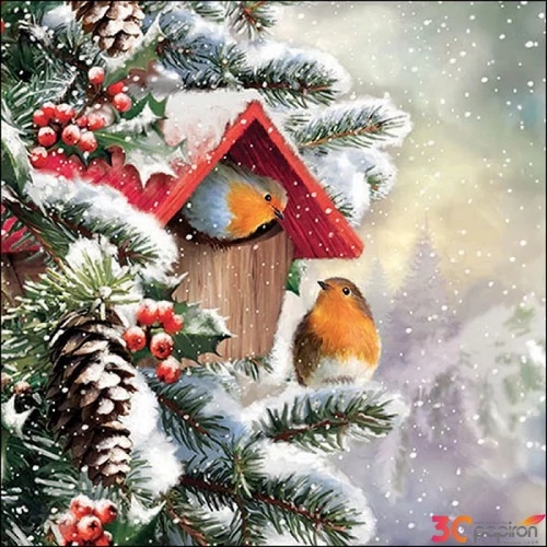 Szalvéta Ambiante House with robins papírszalvéta 25x25cm,15db-os