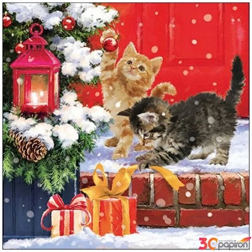Szalvéta Ambiante Kittens On Doorstep papírszalvéta 33x33cm,20db-os