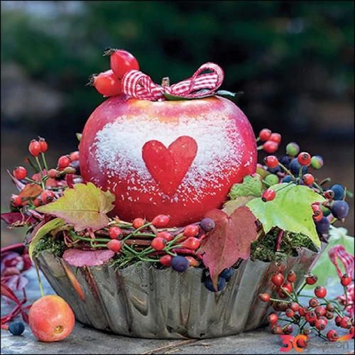 Szalvéta Ambiante Snow dusted apple papírszalvéta 33x33cm,20db-os