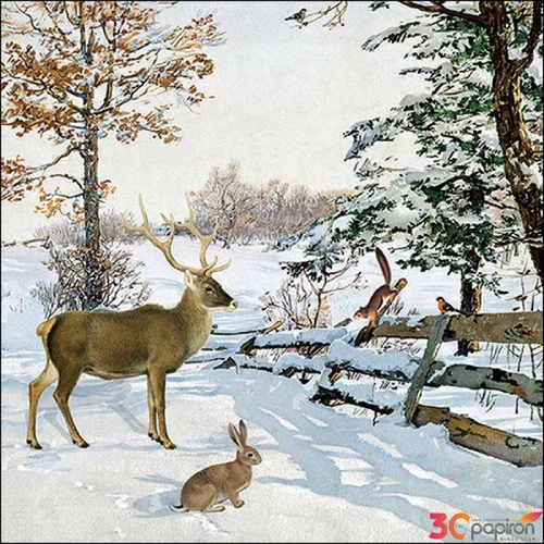 Szalvéta Ambiante Winter evening talk papírszalvéta 33x33cm,20db-os