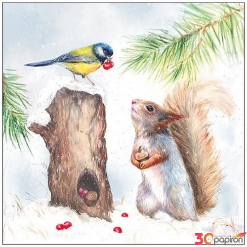 Szalvéta Ambiante Winter Stock papírszalvéta 33x33cm,20db-os