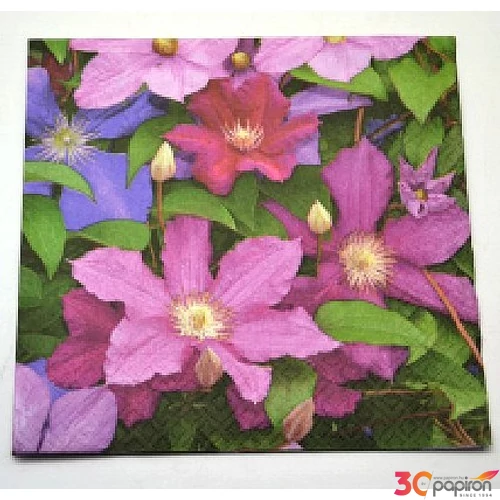 Szalvéta vegyes mintákkal 33x33cm 3rétegű 20lapos (AC273,6)