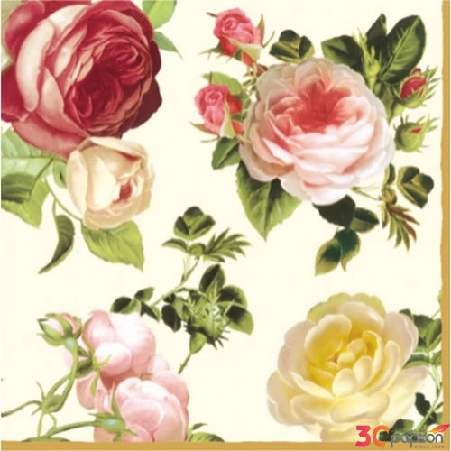 Szalvéta Paw 33x33cm Rosalia papírszalvéta 33x33cm,20db-os