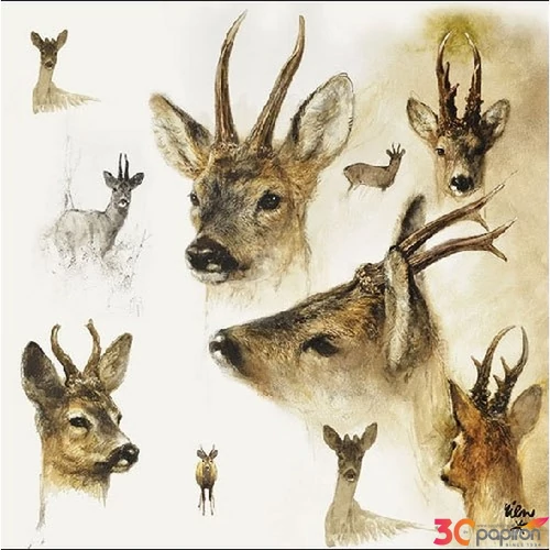 Szalvéta Ambiante Portraits of Deer papírszalvéta 33x33cm,20db-os