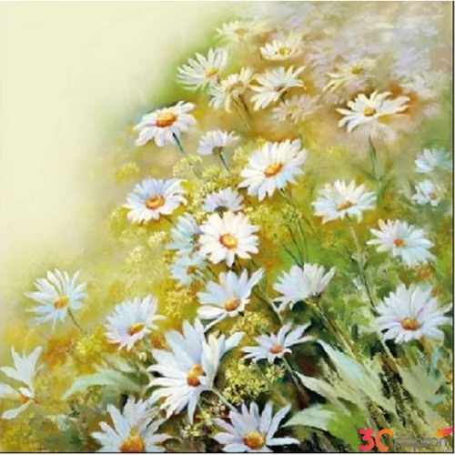 Szalvéta Ambiante margaréta Facing The Sun papírszalvéta 25x25cm,15db-os