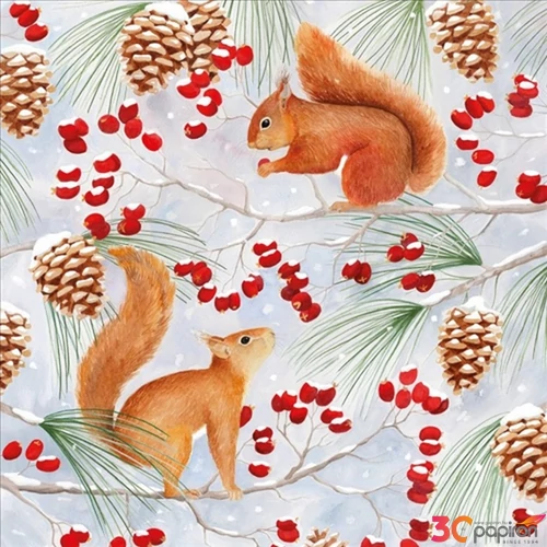 Szalvéta Squirrel Chat Squirrel Chat papírszalvéta 33x33cm,20db-os