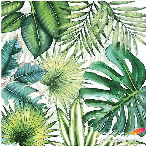 Szalvéta Tropical leaves 33x33cm 3rétegű 20db/csomag 13310940 szalvéta. Trópusi növények