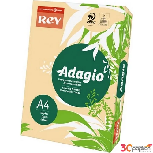 Színes másolópapír Rey Adagio A4, 80gr pasztell Lazac/SALMON LIPAD48PL