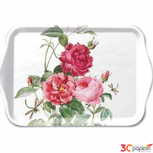 Tálca Ambiante kicsi Amber műanyag kistálca 13x21cm