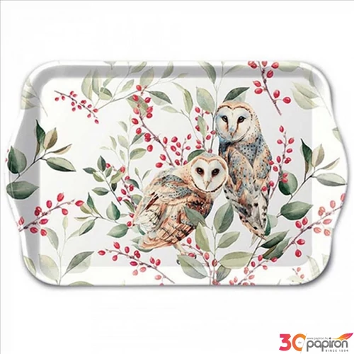 Tálca Ambiante kicsi Barn owl couple műanyag kistálca 13x21cm