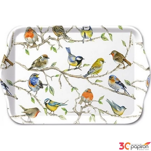 Tálca Ambiante kicsi Birds Meeting műanyag kistálca 13x21cm