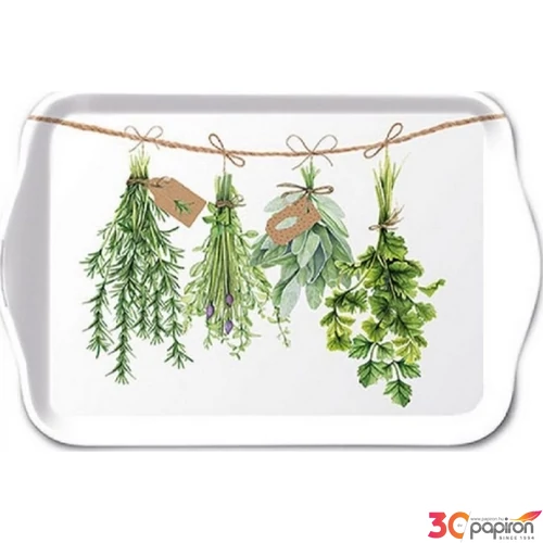 Tálca Ambiante kicsi Fresh Herbs műanyag kistálca 13x21cm