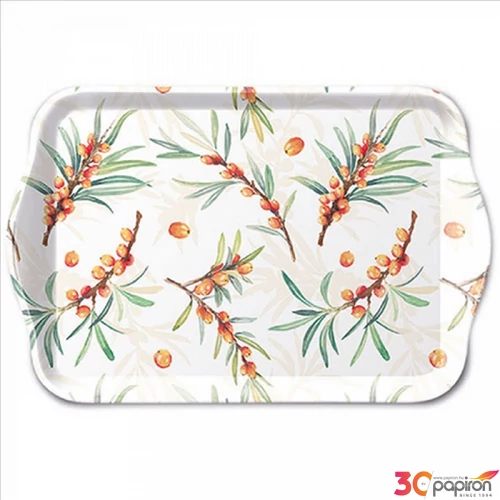 Tálca Ambiante kicsi Sea Buckthorn műanyag kistálca 13x21cm
