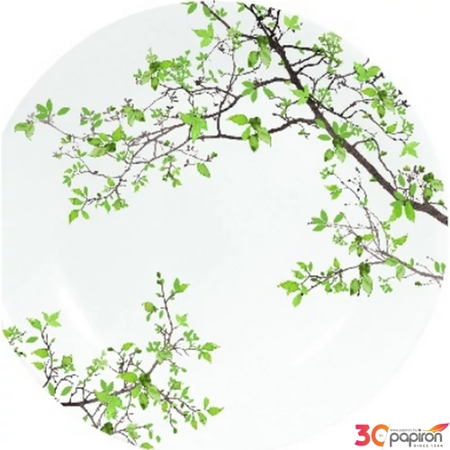 Tányér desszertes kerámia 19cm, Natura dobozban