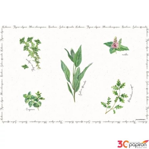 Tányéralátét műanyag 45x30cm, Herbarium