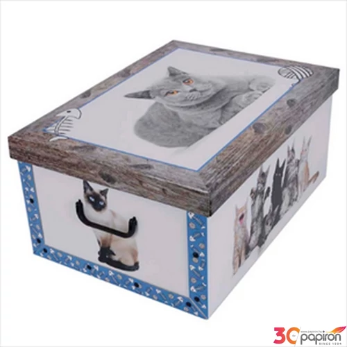Tárolódoboz maxi 51x37x24 miss spacecica kék 7037