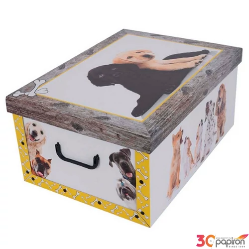 Tárolódoboz Maxi 51x37x24cm Miss Space, kutyás sárga 7009