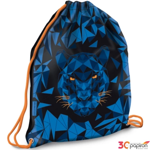 Tornazsák Ars Una sportzsák Black Panther (5082) 21 53560827 Könnyű erős tartós anyagból