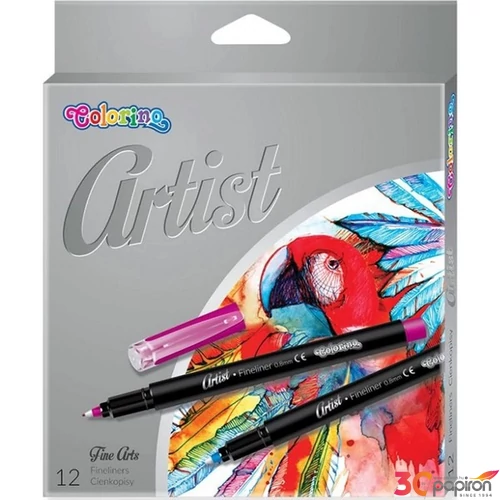 Tűfilckészlet Colorino Artist 12db-os