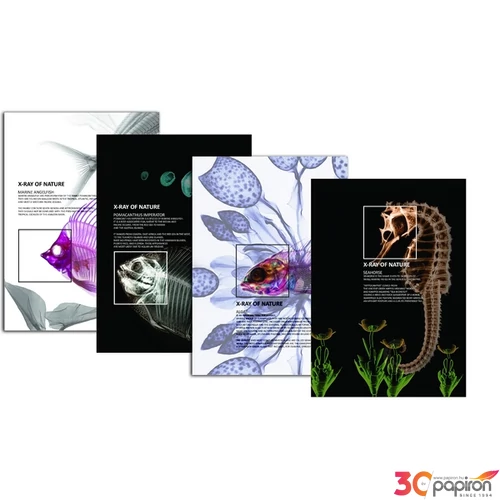 Villámzáras mappa A4 Optima X-Ray mintás vegyesen Papiron