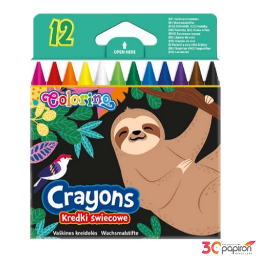 Zsírkréta lajhár Big Pack vegyesszín